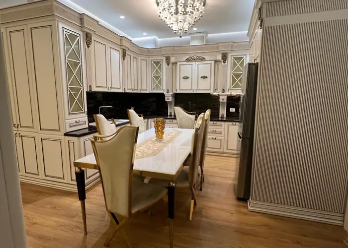 Delijorgji 4u Tirana